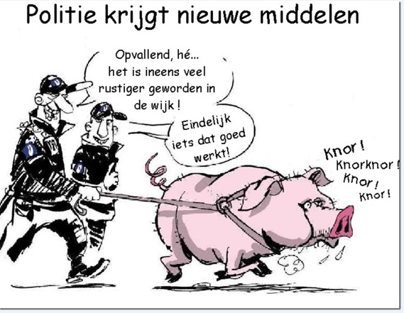 politie varken